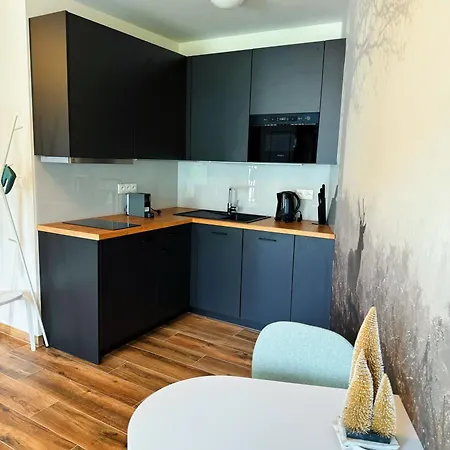 Apartment Horsky Klinovecke Louky 120-4 *