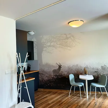 Horský Klínovecké Louky 120-4 Appartement