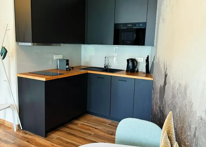 Apartment Horsky Klinovecke Louky 120-4 *